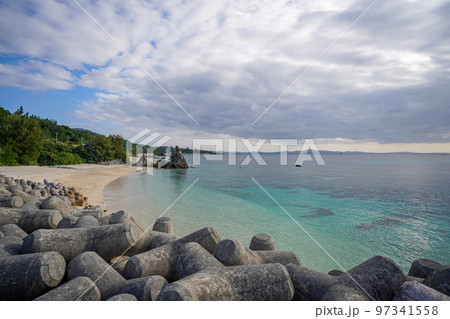 沖縄本島 崎本部ゴリラチョップ 沖縄本島 崎本部ゴリラチョップ 97341558