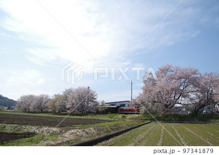 左沢線羽前高松駅 桜満開の駅に到着する左沢線全通100周年記念号 左沢線羽前高松駅 桜満開の駅に到着する左沢線全通100周年記念号 97341879