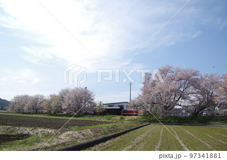 左沢線羽前高松駅 桜満開の駅に到着する左沢線全通100周年記念号 左沢線羽前高松駅 桜満開の駅に到着する左沢線全通100周年記念号 97341881