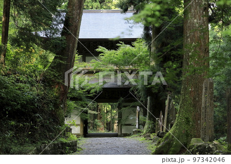 緑が濃い大雄山最乗寺の山門 緑が濃い大雄山最乗寺の山門 97342046