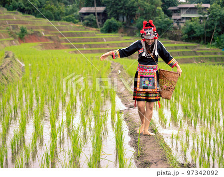 Hmong tribal Woman in black native dress with basket walking on ridge 97342092
