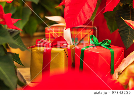 クリスマス・冬 イメージ クリスマス・冬 イメージ 97342259