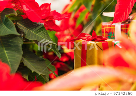 クリスマス・冬 イメージ 97342260