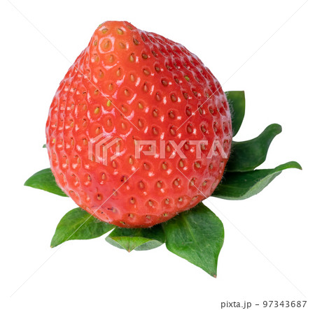 fresh strawberry red isolated on white. fresh strawberry red isolated on white. 97343687