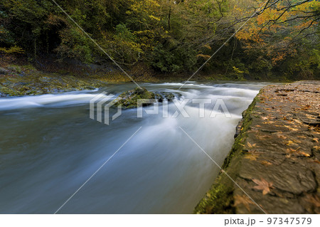 千葉県 秋の養老渓谷・養老川 / Yoro River, Japan 97347579