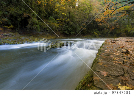 千葉県 秋の養老渓谷・養老川 / Yoro River, Japan 97347581