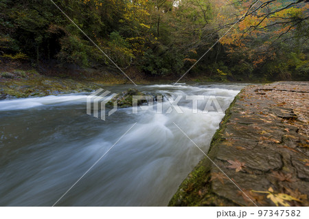 千葉県 秋の養老渓谷・養老川 / Yoro River, Japan 97347582