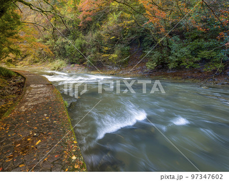 千葉県 秋の養老渓谷・養老川 / Yoro River, Japan 97347602
