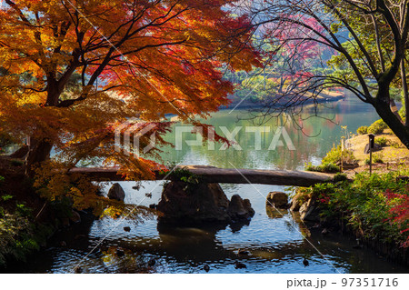 秋の東京　紅葉の六義園　渡月橋 97351716