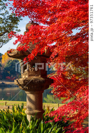 秋の東京　紅葉の六義園 97351761