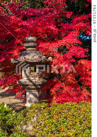 秋の東京 紅葉の六義園 秋の東京 紅葉の六義園 97351763