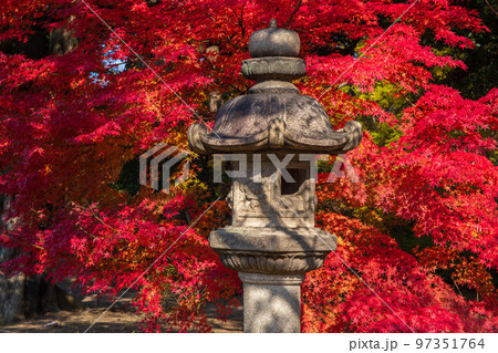 秋の東京 紅葉の六義園 秋の東京 紅葉の六義園 97351764
