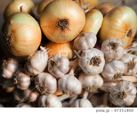 Garlic and onion. Rich harvest. 97351800