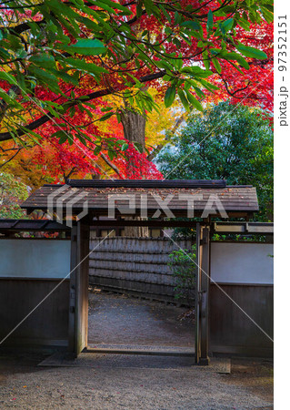 秋の東京 紅葉の六義園 秋の東京 紅葉の六義園 97352151