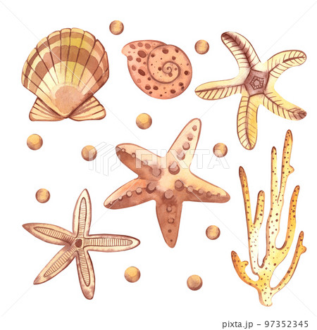 Seashells. Set of pink and beige seashells hand-drawn in watercolor on a white background. Starfish, pearls, scallop. For print, books, scrapbooking and design 97352345