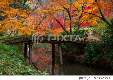 秋の東京 紅葉の六義園 山陰橋 秋の東京 紅葉の六義園 山陰橋 97352594