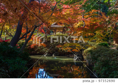 秋の東京　紅葉の六義園　つつじ茶屋 97352690