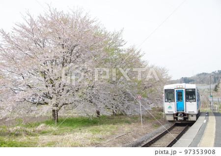 左沢線 桜満開の羽前高松駅に到着するキハ101 97353908