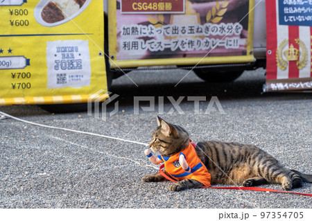 舞鶴赤れんがパーク 97354705