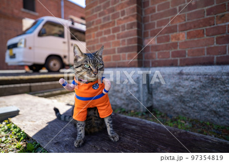 舞鶴赤れんがパーク 97354819