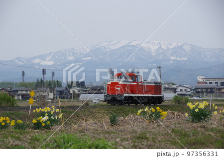 左沢線 羽前長崎付近 スイセンと雪山と単機DE10 1651 97356331