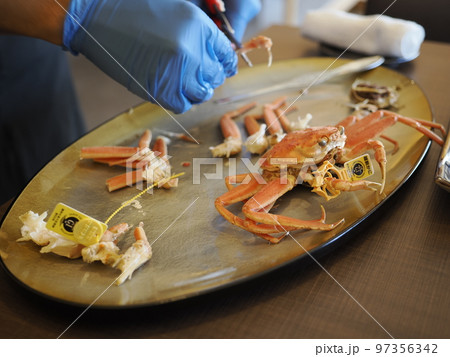 せいこがにの身をほぐす 97356342