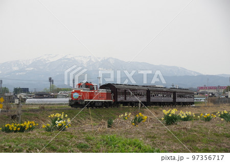 左沢線 羽前長崎付近 スイセンと雪山と左沢線全通100周年記念号 左沢線 羽前長崎付近 スイセンと雪山と左沢線全通100周年記念号 97356717