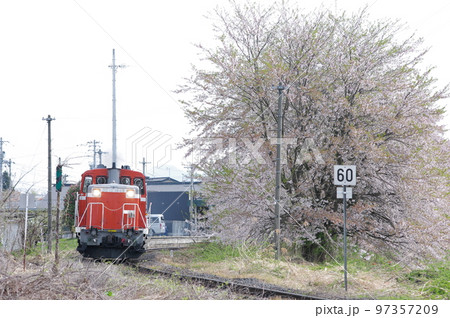 左沢線 羽前高松駅 桜と単機DE10 1649 左沢線 羽前高松駅 桜と単機DE10 1649 97357209