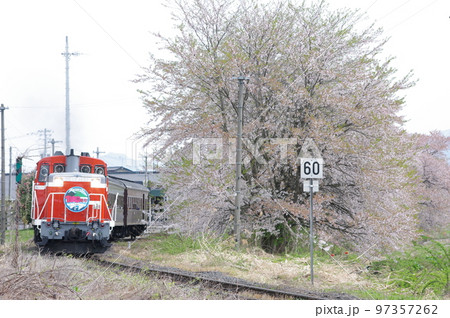 左沢線 羽前高松駅 桜と左沢線全通100周年記念号 97357262