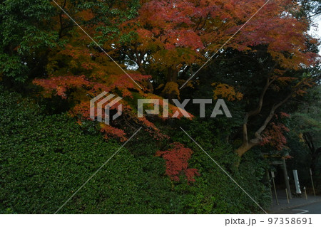 倭姫宮 紅葉 倭姫宮 紅葉 97358691