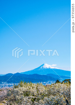 日本平から望む富士山 97358855