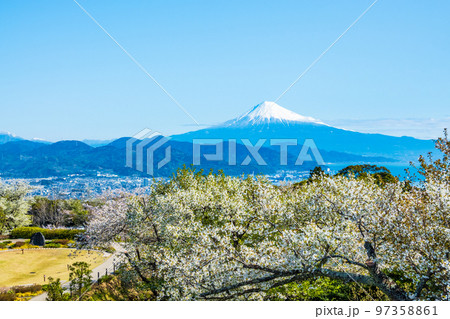 日本平から望む富士山 97358861