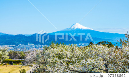 日本平から望む富士山 97358862