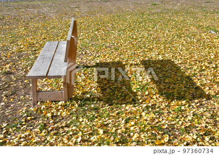 椅子とオハツギイチョウ 97360734