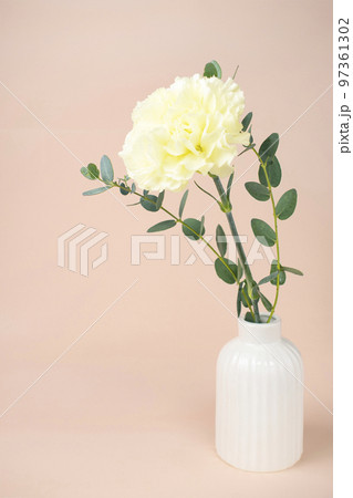 表彰台 プラットフォーム 母の日 97361302