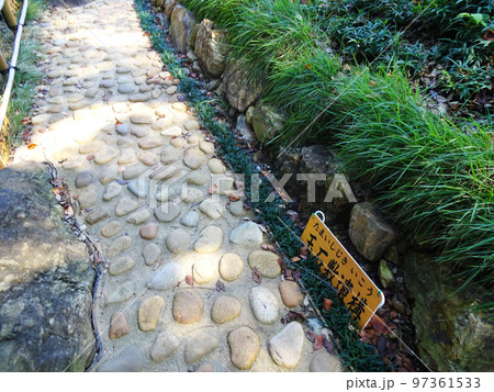 小牧山城 天守周辺の玉石敷遺構(愛知県小牧市)2022年10月 小牧山城 天守周辺の玉石敷遺構(愛知県小牧市)2022年10月 97361533