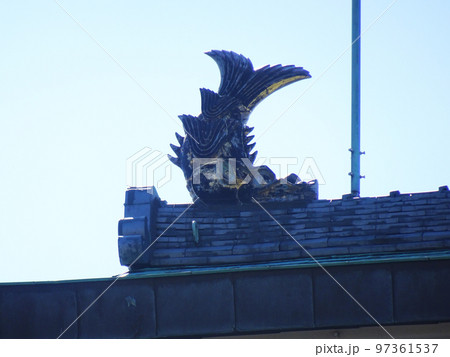 小牧山城 天守の鯱(愛知県小牧市)2022年10月 小牧山城 天守の鯱(愛知県小牧市)2022年10月 97361537