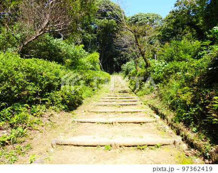 小牧山城 天守までの階段歩道(愛知県小牧市)2022年10月 小牧山城 天守までの階段歩道(愛知県小牧市)2022年10月 97362419