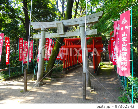 小牧山城 小牧山稲荷神社(愛知県小牧市)2022年10月 小牧山城 小牧山稲荷神社(愛知県小牧市)2022年10月 97362542