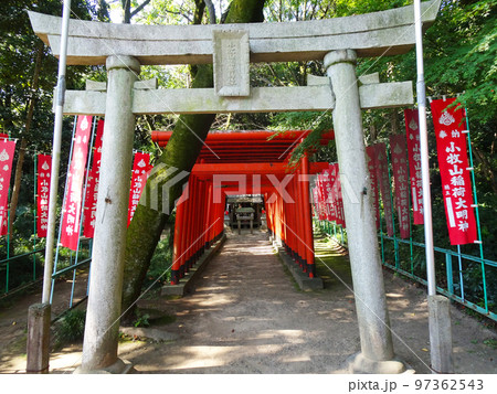 小牧山城　小牧山稲荷神社（愛知県小牧市）2022年10月 97362543