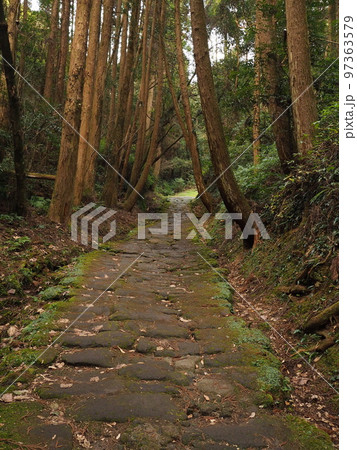 龍門寺坂 97363579