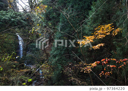 一乗谷朝倉氏遺跡ー晩秋 一乗谷朝倉氏遺跡ー晩秋 97364220