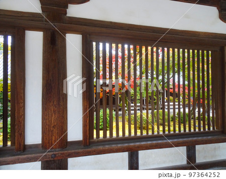 法隆寺の紅葉　 (奈良県生駒郡斑鳩町法隆寺山内)　2022年11月 97364252