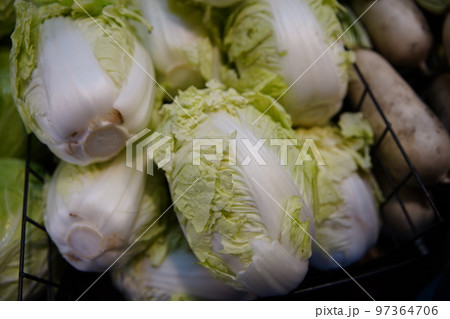 ちんげん菜 野菜 ベジタブル 97364706