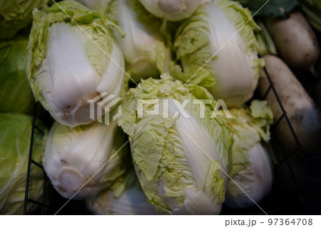 ちんげん菜 野菜 ベジタブル 97364708