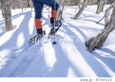 スノーシュートレッキングのイメージ　大山鏡ヶ成   97365222