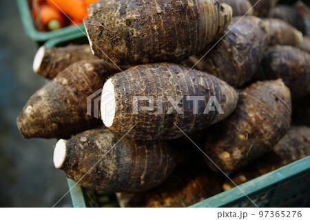 里芋 イモ サトイモ 97365276