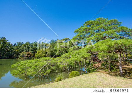 金沢市　兼六園　唐崎松 97365971