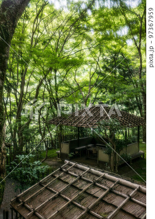 京都 神護寺の休憩所を彩る新緑と木漏れ日 京都 神護寺の休憩所を彩る新緑と木漏れ日 97367959