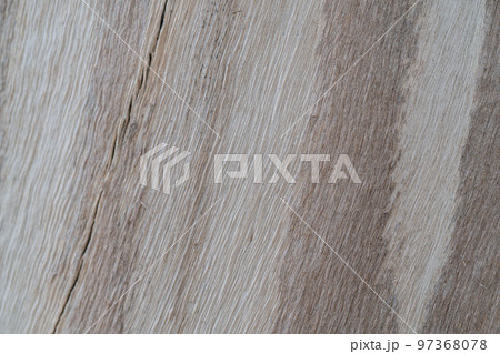 Background with the texture of an old stump. Background with the texture of an old stump. 97368078
